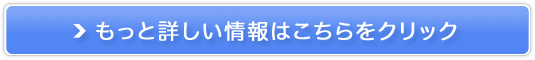 CX`ARZgCghbv̔TCg